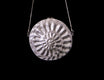 Ammonite