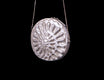 Ammonite