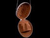 Ammonite